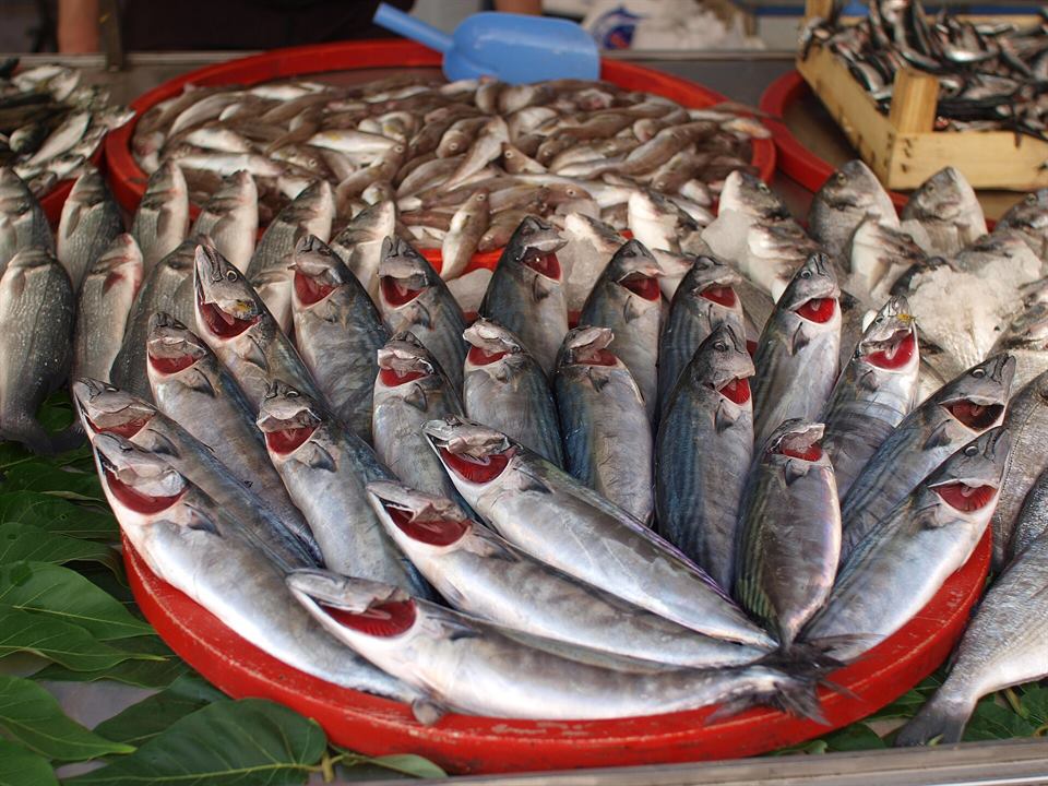 Karadeniz Balığı